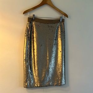 Banana Republic silver sequin pencil skirt. Size 6. Not a sequin missing!